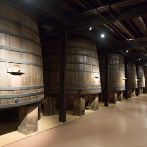 barrels in old winery