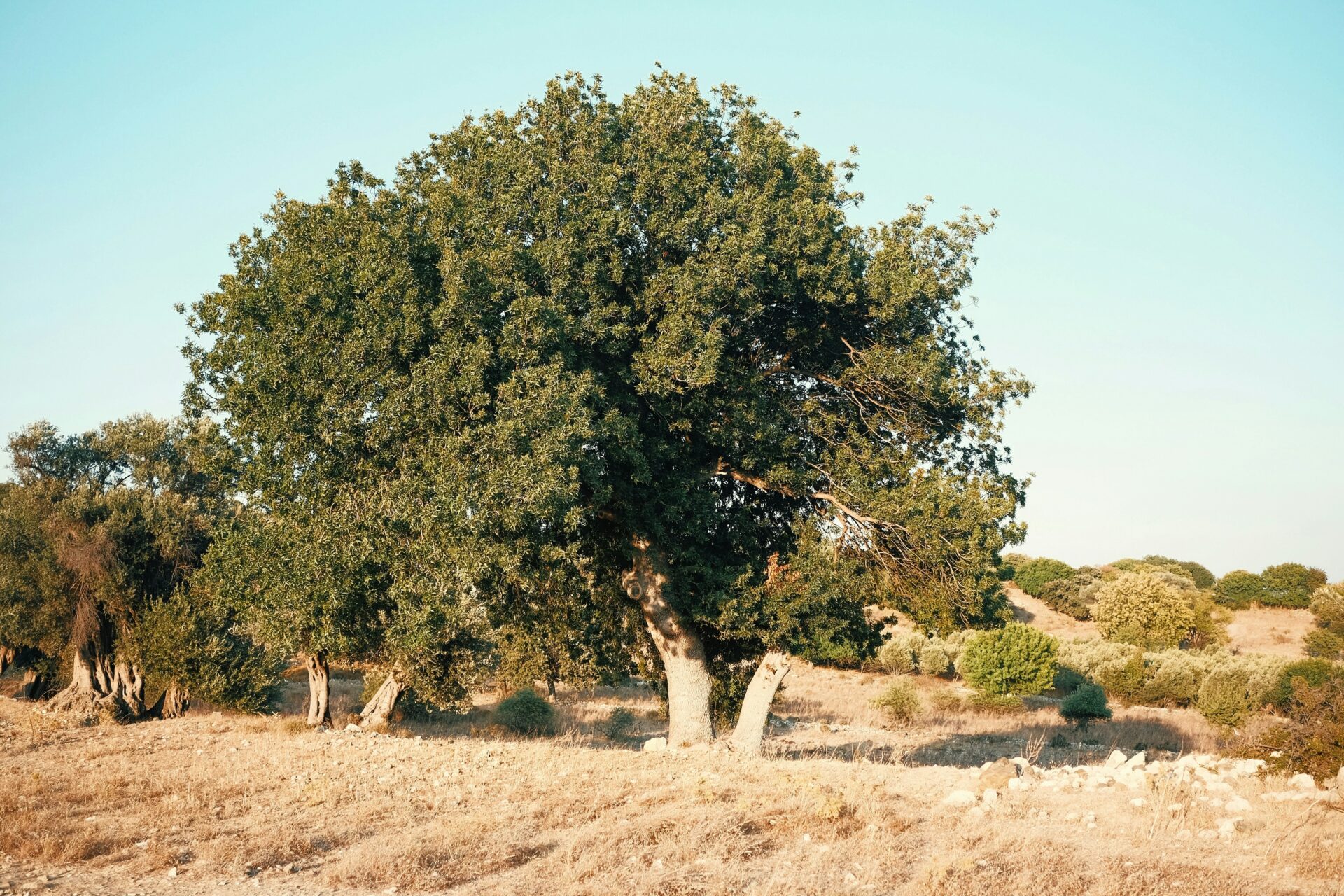 Preserving beauty: ESG-driven restoration creates cultural and economic value.