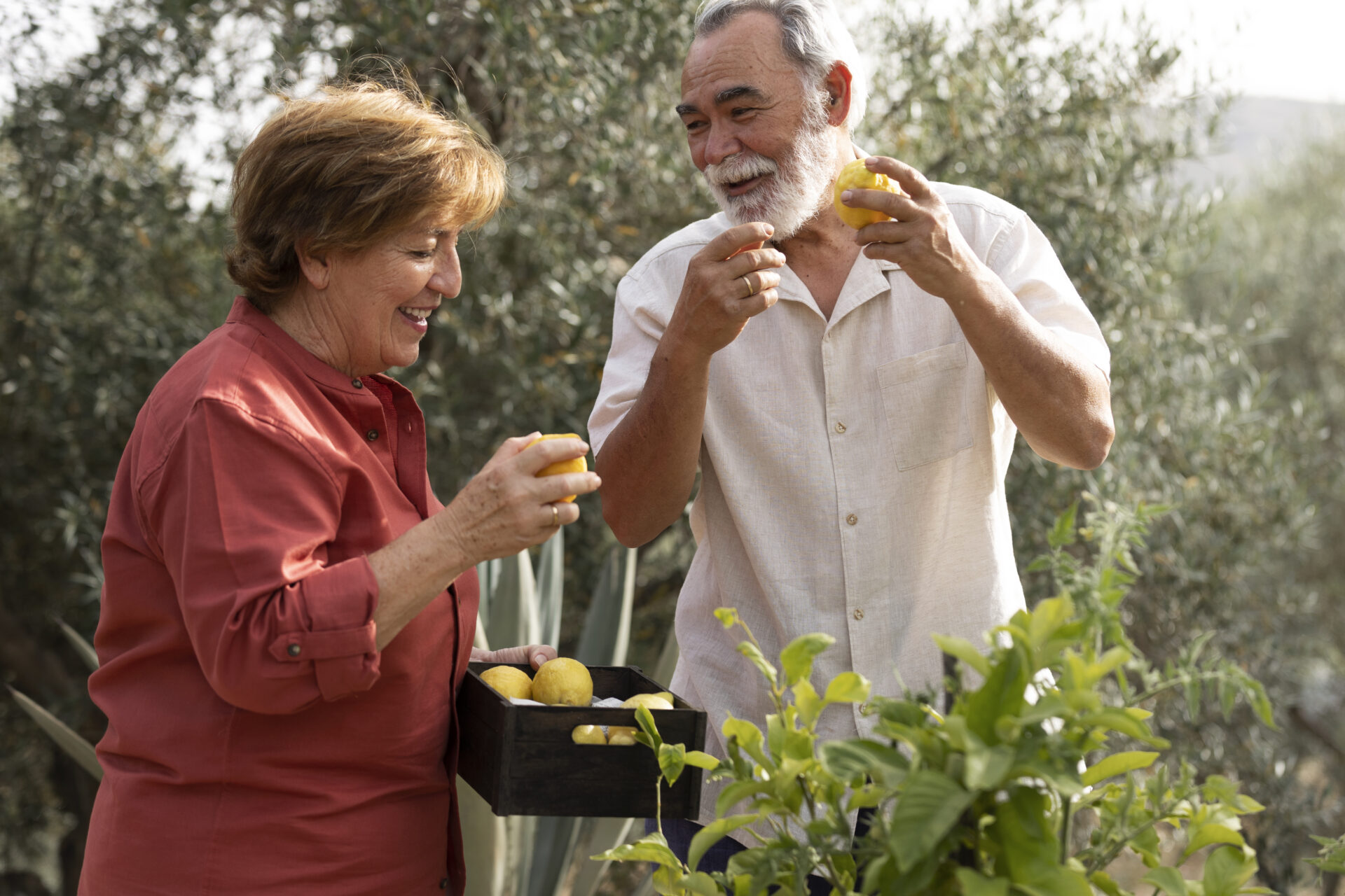 Alentejo’s calm landscapes offer a new perspective on aging and wellness.