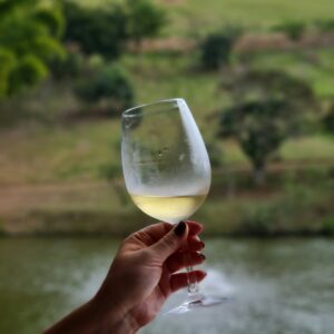 Immobilier viticole au Portugal – Guide 2025