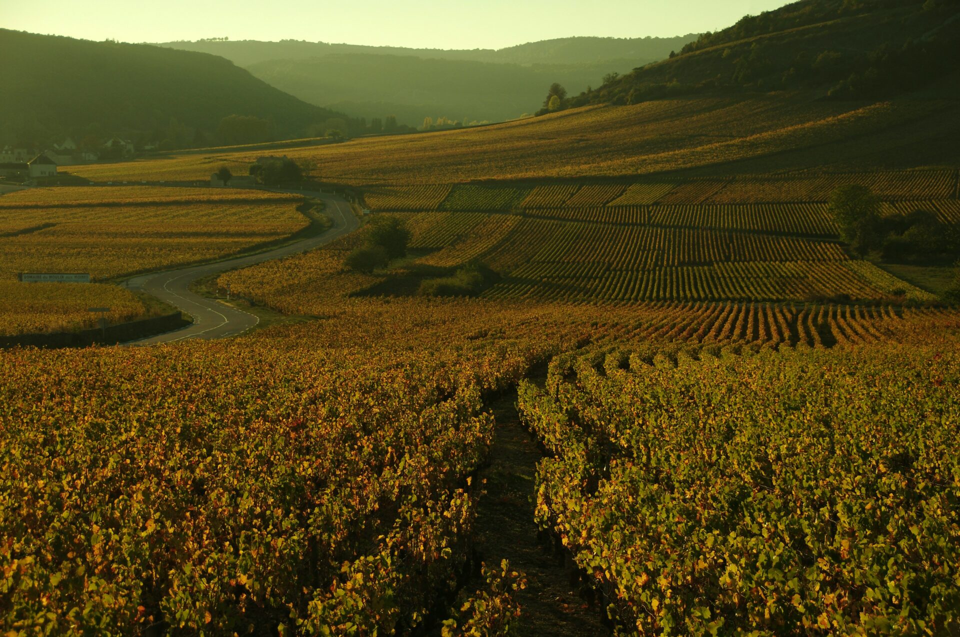 Vineyard estate near Lisbon with Atlantic horizon and rolling hills