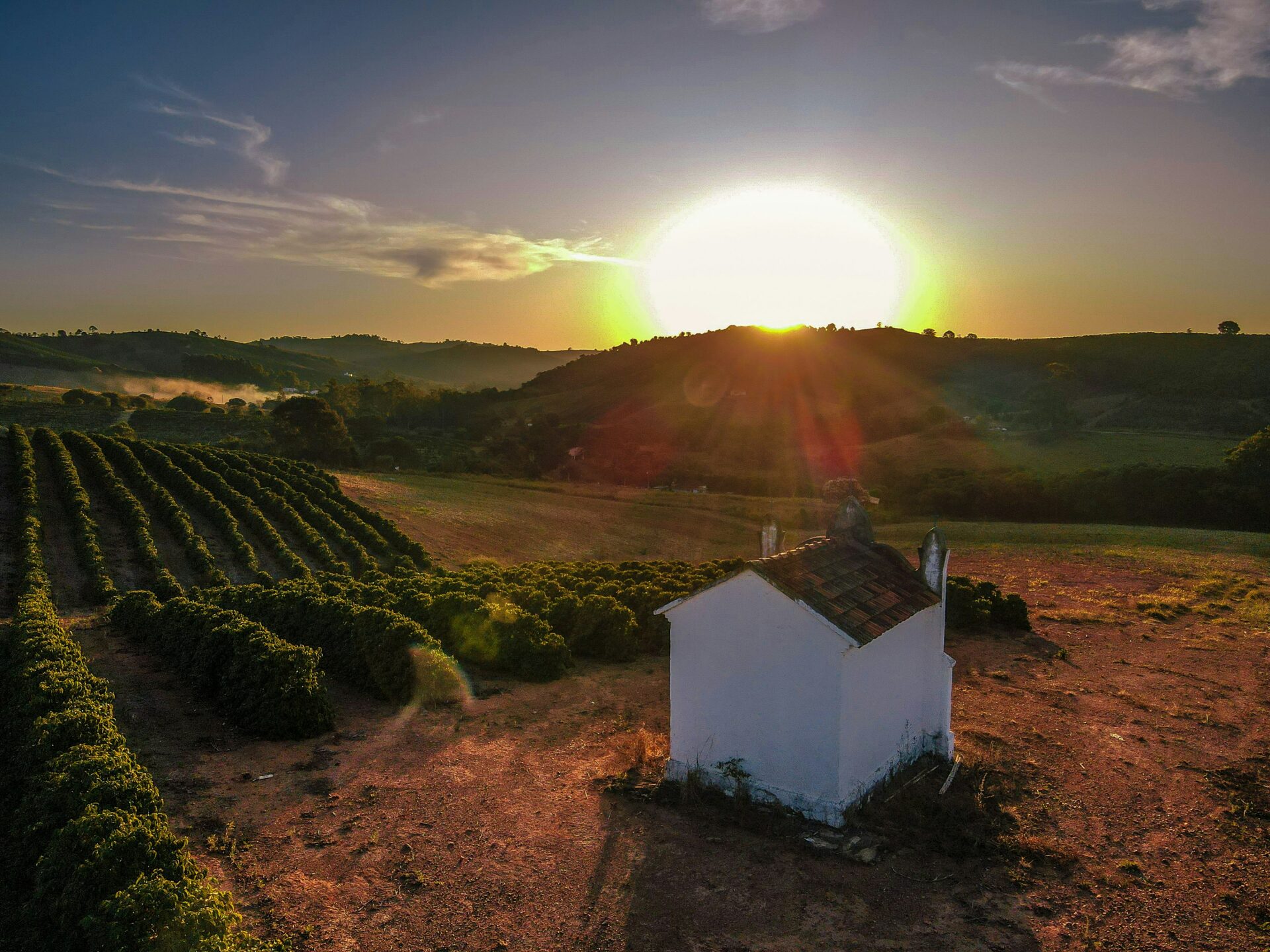 Vineyard hillside in Portugal at golden hour with a traditional estate house