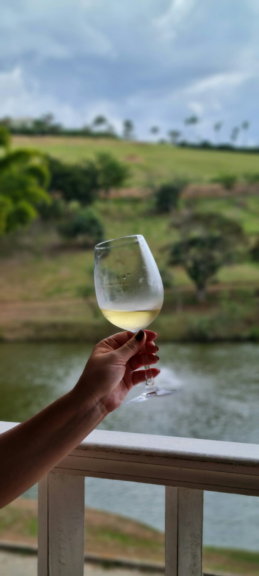 Wine glasses arranged for tasting at sunset